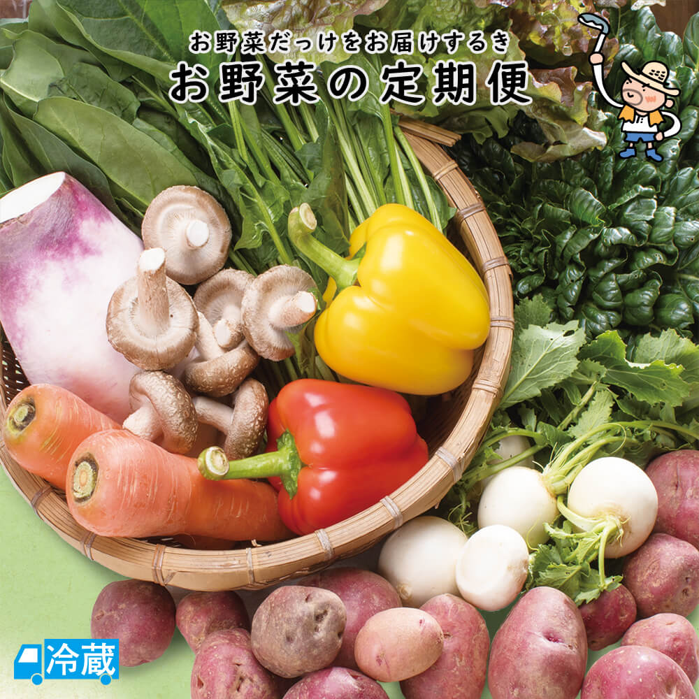 【定期購入】 野菜の定期便【野菜】 高知 土佐 国産 旬 新鮮 季節 サラダ 取り寄せ 新鮮野菜 高知産