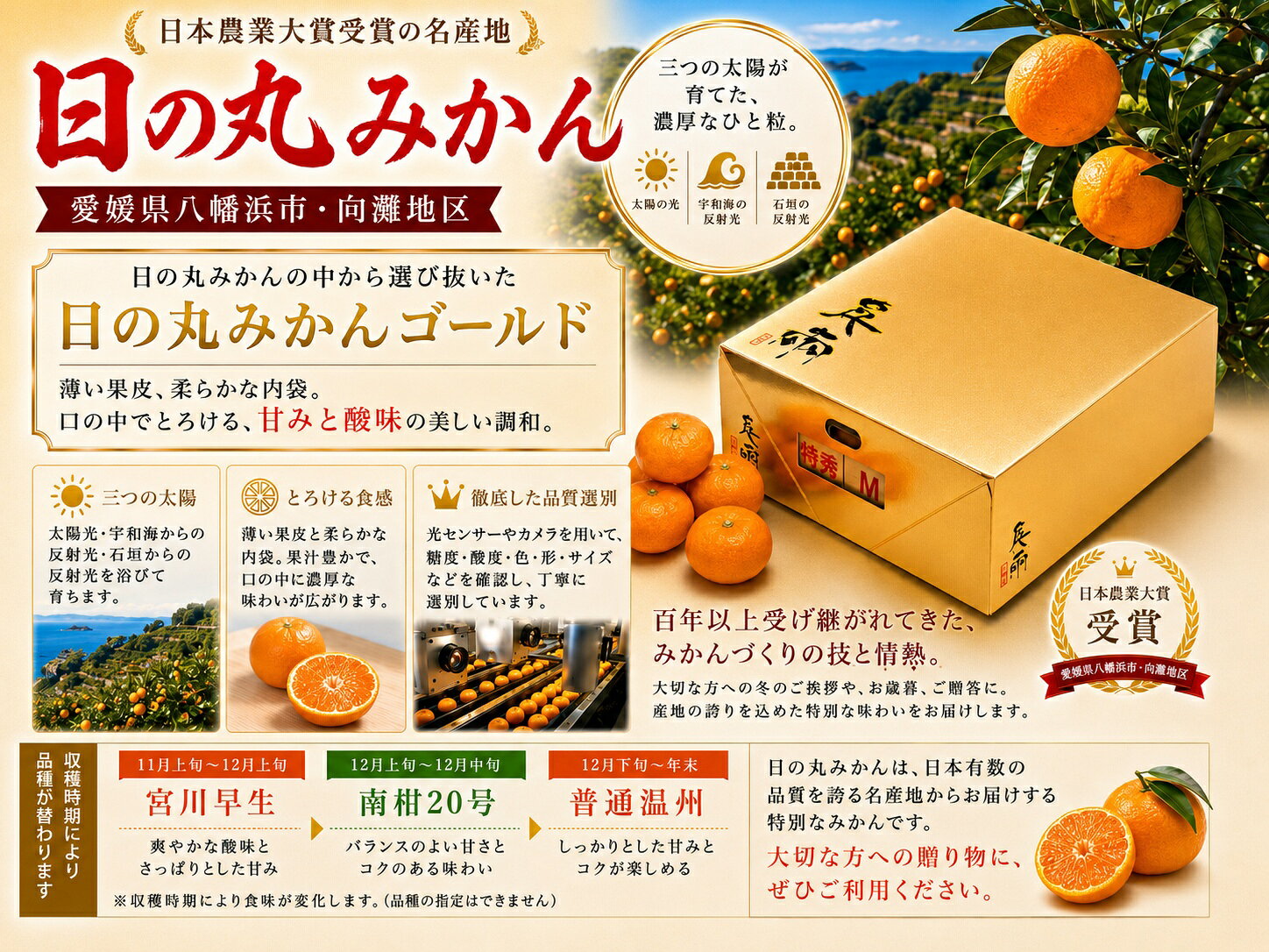 ＜ゴールド＞日の丸みかん千両LMサイズ！日の丸の最高傑作 suehiro-10000688 愛媛のフルーツ スエヒロ サンプル画像2