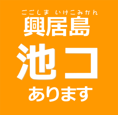 愛媛県産ごご島「池コのみかん」家庭用　良M10キロ発送時期11月10日頃〜12月25日頃