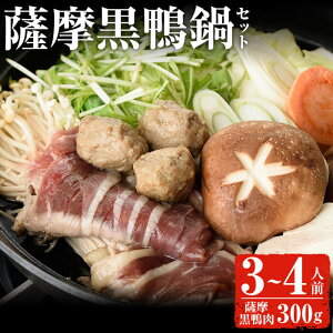 【送料無料】薩摩黒鴨鍋セット(3〜4人前) 薩摩黒鴨 黒鴨 黒肉 鴨肉 肉 冷凍 鴨鍋 鍋 オメガ3 国産 セット【日本有機】