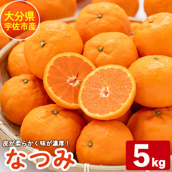 なつみ(約5kg)ハウス 樹成 完熟 みかん 蜜柑 柑橘 かんきつ フルーツ 果物 くだもの【永木農園】