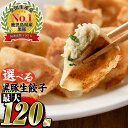 【送料無料】選べる4種! 鹿児島黒豚使用の黒豚餃子 (黒豚生餃子計96個/バラエティ餃子計96個/黒豚もちっと餃子計120個/黒豚コンビ餃子計108個) 国産 ...