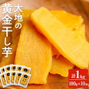 送料無料 低GI 海外でも販売中 大地の黄金干し芋 1kg(100g×10袋) 干し芋 干しいも ほしいも 鹿児島県産 さつまいも サツマイモ さつま芋 芋 イモ 紅はるか 無添加 無着色 砂糖不使用【末永商店】