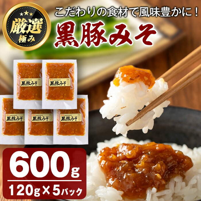 送料無料 鹿児島特産！黒豚みそ(計600g・120g×5パック) 味噌 調味料 黒豚味噌 豚味噌【村山製油】