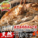 漁師が作った美味しい山川干物セット(5種・計10袋) 鹿児島 干物 ひもの 魚介 魚 真鯛 鯖 サバ さば ブリ ぶり 鰹 カツオ かつお あじ 鯵 おかず おつまみ セット 詰め合わせ 冷凍【指宿山川水産合同会社】