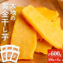 末永商店 干しいも 【送料無料】＜大地の黄金干し芋＞鹿児島県産紅はるか使用！無添加無着色のスイーツなほしいもをたっぷり計600g(100g×6袋)【末永商店】