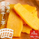 末永商店 干しいも 【送料無料】＜大地の黄金干し芋＞鹿児島県産紅はるか使用！無添加無着色のスイーツなほしいもをたっぷり計1,000g(100g×10袋)【末永商店】