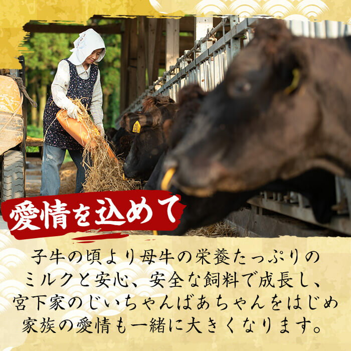 【送料無料】薩摩和牛の赤身すきしゃぶ用(400g・モモもしくはカタスライス)国産 九州産 牛肉 和牛 赤身 スライス 数量限定 モモ肉 もも 肩肉 カタ すき焼き しゃぶしゃぶ 冷凍【さつま屋産業】