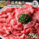 【送料無料】鹿児島県産黒毛和牛すきやき・しゃぶしゃぶ用(計750g・250g×3P)国産 九州産 牛肉 黒毛和牛 和牛 ブリスケ お肉 おかず すき焼き スキヤキ しゃぶしゃぶ スライス 肩バラ肉 コウネ 冷凍 小分け【アリラン飯店】