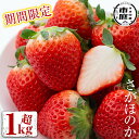 いちご 【送料無料】鹿児島県産さがほのか(270g×4個・計1.08kg)※時期によりさつまおとめ又はぴかいちごに変更になる可能性があります。国産 九州産 イチゴ 苺 いちご フルーツ【仲村雅農園】