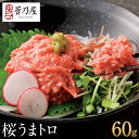 敬老の日 ギフト プレゼント 馬刺し 桜うまトロ (馬肉ネギトロ) 60g 約1〜2人前 生ネギトロ 熊本 直送 ばさし 馬肉 馬刺 鮮馬刺し 菅乃屋 贈り物 ...