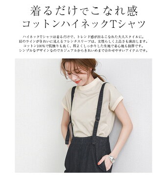 2type コットン Tシャツ 半袖 レディース カットソー プルオーバー トップス ハイネック モックネック 大人カジュアル ベーシック 無地 ボーダー メール便 2021春夏新作 【lgww-at2057】【即納:1-5営業日】【送料無料】メ込