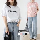 【半額クーポン対象】プリントロゴTシャツ Tシャツ カットソー 半袖 トップス レディース フリーサイズ メール便 2025秋冬 【lstp203-317】【即納:1-5営業日】【送料無料】ユ込2