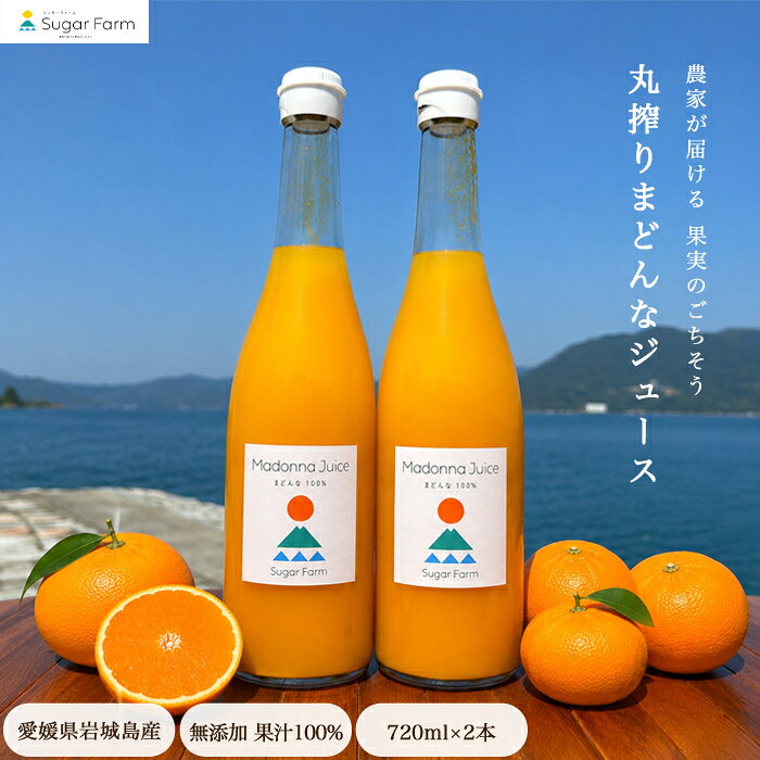 楽天市場】愛媛果試 28号の通販