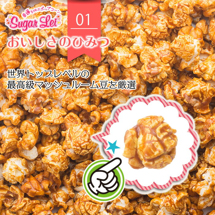 ポップコーンマッシュルーム【5個パックキャラメル味塩バター味ミルク&チョコレート味チーズ&キャラメル味南高梅かつお味】ポップコーンシュガーレイ★幸運を呼ぶポップコーンインスタ映えスイーツ父の日プチギフトギフトプレゼント贈り物可愛い