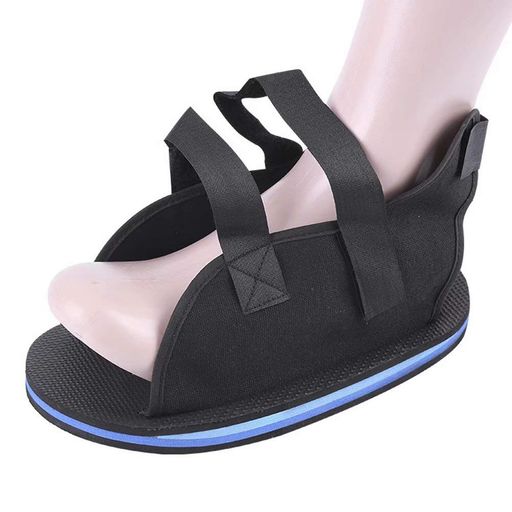 AOIREMON ץ塼 ­1­  Ѹ奷塼   ֥ѥ Ĵǽ 20-30CM