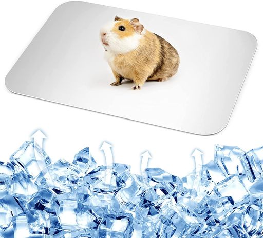 MEIAOJIAハムスタープレートアルミ板物理冷却滑らかなエッジ涼感夏用品ペットひんやりベッド涼感プレート冷却マット冷却するペット用ベッド温度を下げる冷え冷え暑さ対策夏用熱中症対…