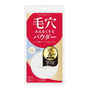 ポイントマジック PRO プレストパウダー C 00 ライトオークル (明るい肌色の方対応) ファンデーション 6グラム (X 1)(4)