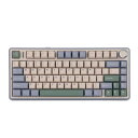 EPOMAKERXAULAF75ゲーミングキーボードガスケットメカニカルキーボード5層パッド&ノブ付き75%ワイヤレスホットスワッパブルBLUETOOTH/2.4GHZ/USB-CRGB技適認証取得(GREENLEOBOG(2)