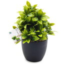 TOSSOW人工観葉植物フェイクグリーン観葉植物フェイク造花ミニインテリア世話のいらない可愛い贈り物クリスマスツリー