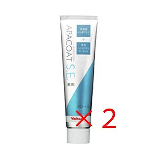 䥯ȲѥѥS.E.(ʥΥƥΥ)120g2ĥå