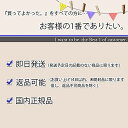 シュワルツコフファイバープレックスNo.4ボンドセラム100g2個セット