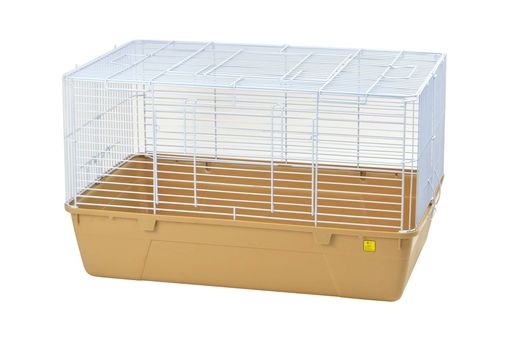 SANKO  SANKO C202 ȥޥ R70