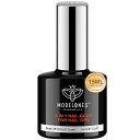 Modelonesネイルグルーネイルチップ接着剤15ml4-IN-1ネイルチップ用グルー&ベースコート&補強ジェル&スリップソリューションジェルネイルポリッシュネイルジェル透け感ジェルネイル