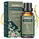 HANOLLY アロマオイル ユーカリエッセンシャルオイル 30ML 精油 天然100% 自然な香りアロマ ディフューザー用 アロマストーン用 加湿器用 お風呂...