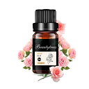 BEAUTYTREES ローズ 精油 エッセンシャルオイル ローズオイル アロマオイル 天然100% アロマ 10ML 加湿器 ディフューザー アロマストーン ...
