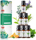 MAYJAMアロマオイル6種セットエッセンシャルオイルセット天然精油ラベンダー/ユーカリ/ペパーミント/スイートオレンジ/レモングラス/ティーツリーアロマ10mlx6本プレゼント