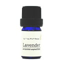 真正 ラベンダー 10ML E-AROMA エッセンシャルオイル 精油 アロマオイル (10ML)(4)