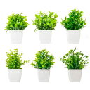 WILLINGYOUフェイクグリーン6点セット観葉植物人工観葉植物造花インテリアお世話不要プレゼント手のひらのサイズ
