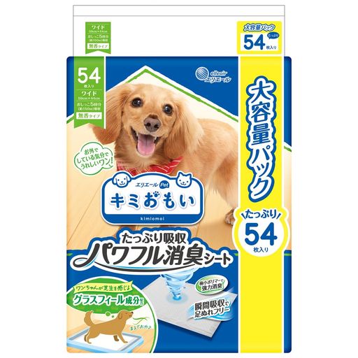 ꥨ PET ꥨڥå ߤ⤤ ѥեý 磻 54
