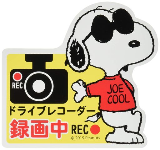 ˮɥ饤֥쥳ޥͥåȥƥå̡ԡ2ϿREC