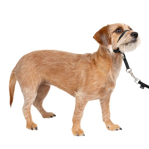 犬用ヘッドカラー (しつけ、訓練用具) 【素材】プラスチック 金属 ナイロン 【サイズ】[目安体重]2~10kg / [ノーズループ(全周)]~27cm / [ノーズループ(幅)]0.9cm / [ネックストラップ(全周)]~38cm /[ネックストラップ(幅)] / [犬種の目安]ミニチュアダックス、ビーグル、ジャックラッセル、シーズー等