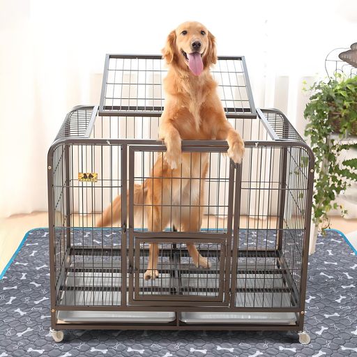 TiTiSNUGY洗えるペットシーツペット用おしっこマット【ブルー縁ガイド!】大型犬・猫用トイレマット大判..