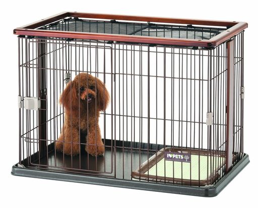 �ܥ�ӥ��륳��(Bonbi)���åɥ�󥵡�����֥饦����