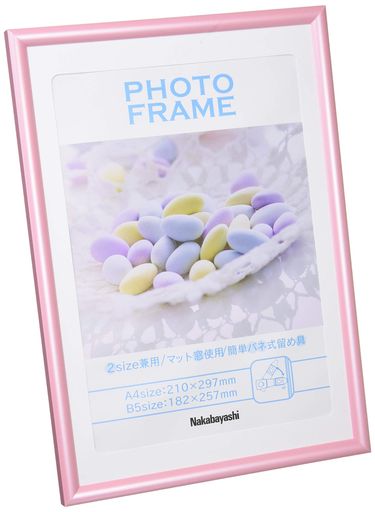 ナカバヤシ(Nakabayashi)樹脂製(PVC)フォトフレームA4判/B5判ピンクフ-TPS-401-P