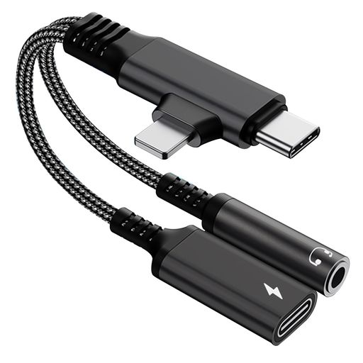 Topamz Type C/Phone to 3.5mm イヤホン変換アダプター 4in1 【新発想設計】 DAC搭...