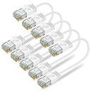 AnkulyCat6ALANケーブル短いランケーブル0.3m2本セットRJ45コネクタ10Gbpsサーバー企業様向け有線ケーブル業務でも家庭でも