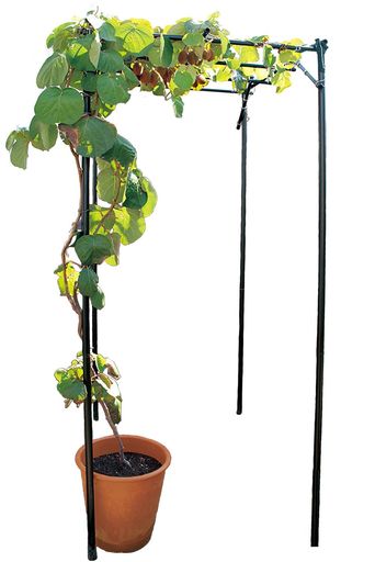 ■【特徴】キウイやブドウのくだもの棚として。また、つる植物を這わすことができます!地ばい栽培ができない場所でも、植木鉢やプランターなどでくだもの棚を楽しむことができます!ネジ・クギ不要で組み立てがカンタン! ■【本体サイズ】設置サイズ(約)幅90cmx奥行き120cmx高さ180cm(土中30cm埋め込み時) ■【用途】キウイやブドウ棚として ■【材質】スチールパイプ樹脂コーティング、ポリエチレン
