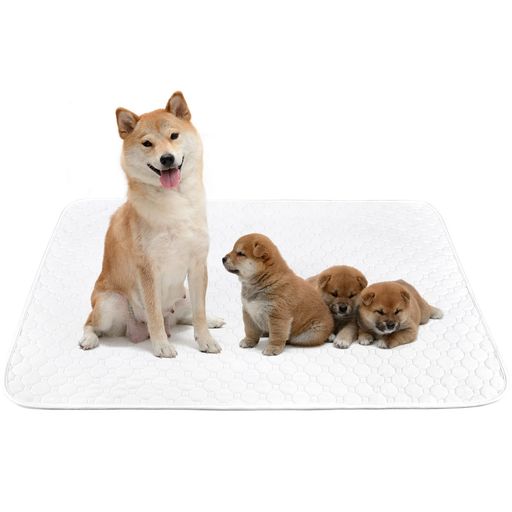 Pet - ペットシーツ洗える猫犬用おしっこパッドペット用トイレ下敷きマット速乾洗える大判サイズ多頭飼いに最適(ホワイトXL二枚セット)