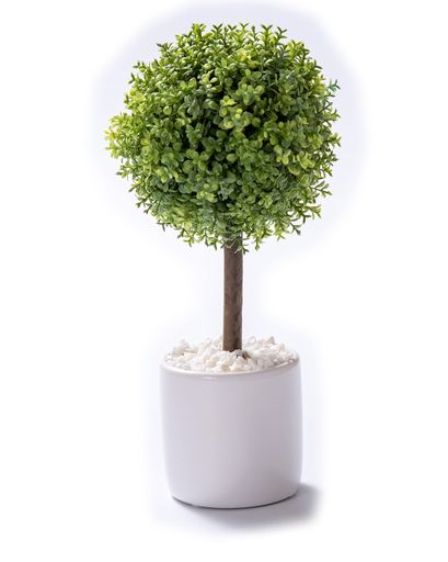 ܥ󥽡빩ȥƥꥢ꡼տʪեߥ˿͹¤ȭդ޾ýȥԥ꡼ܡ()⤵25cm...