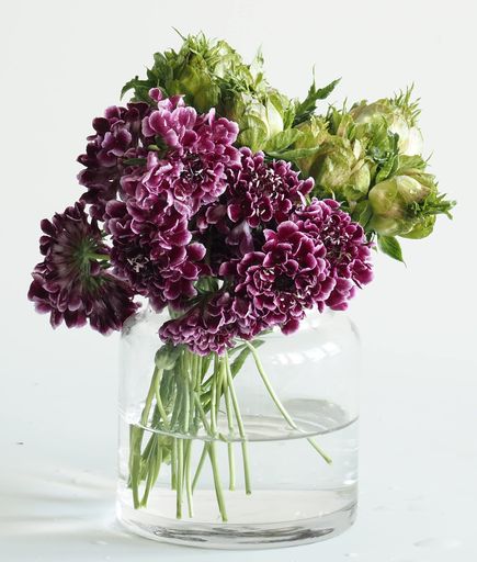 FOYER 花瓶 フラワーベース ガラスおしゃれ 高さ 10 CM 幅 9 CM 小さい 2600056