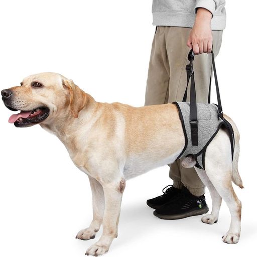 Refoiner 犬 ハーネス 犬 歩行補助ハーネス後足用サポート犬 介護 ハーネス負担が少ない 犬の後脚補助ストラップ犬 散歩 小型犬 中型犬 大型犬猫用ハーネス 犬 介護用品ペット用品(L)