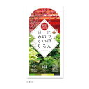 新日本カレンダー 2025年 カレンダー 日めくり にっぽんのいろ日めくり 175×87×35MM NK8827