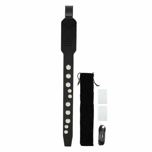 デジタル管楽器 MIDI、接続性 10 音色充電式、12 の伴奏を備えたミニ電子管楽器、...