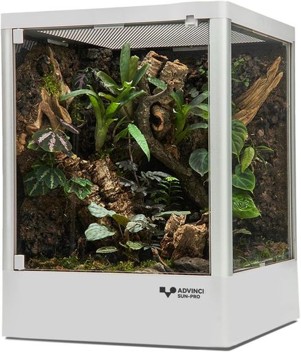 ADVINCI 爬虫類飼育ケージ 30x30x40cm 36L 強化ガラス完全保護 輸送破損防止包装 組み立て式 ダブルロック メッシュ換気 耐衝撃アルミフレーム モダンデザイン