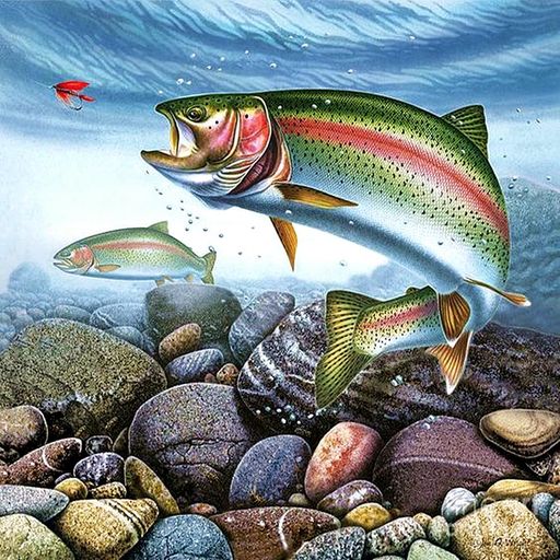 OWN4Bクロスステッチ刺繍キット図案印刷、11ct水中の魚初心者向けの簡単な刺繍セット36x36cmCrossStitch